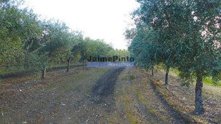 Terreno de 2 100 040 m² em Vila Real