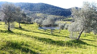 Land for sale in Alfândega da Fé, Portugal — €285,000
