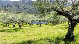 Land for sale in Vila Nova de Foz Côa, Portugal — €2,650,000