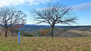 Land for sale in Bragança, Portugal — €1,600,000