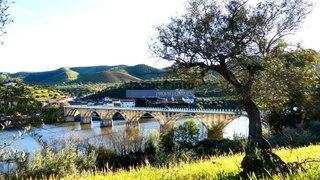 Land for sale in Figueira de Castelo Rodrigo, Portugal — €305,000