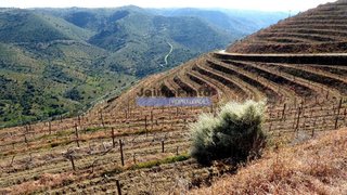 Land for sale in Figueira de Castelo Rodrigo, Portugal — €800,000