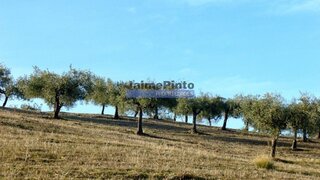 Land for sale in Figueira de Castelo Rodrigo, Portugal — €970,000