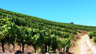 Land for sale in Alijó, Portugal — €2,800,000