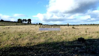 Land for sale in Figueira de Castelo Rodrigo, Portugal — €120,000
