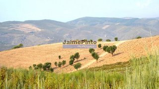 Terreno em Freixo de Espada à Cinta
