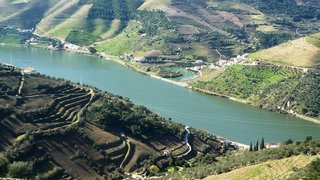 Land for sale in Alijó, Portugal — €3,000,000