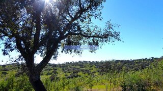 Land for sale in Portel, Portugal — €2,700,000