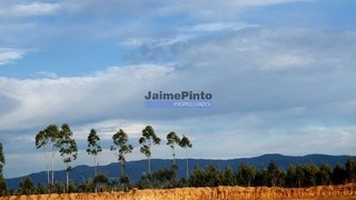 Land for sale in Albergaria-a-Velha, Portugal — €550,000