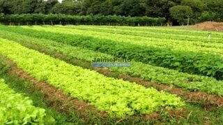 Land for sale in Loulé, Portugal — €1,500,000