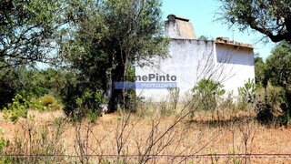 Terreno em Portel