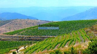Land for sale in Vila Nova de Foz Côa, Portugal — €2,250,000