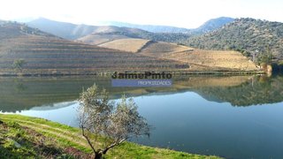Land for sale in São João da Pesqueira, Portugal — €3,500,000