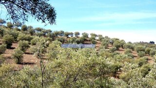 Terreno para venda em Figueira de Castelo Rodrigo, Portugal — 477 000 €