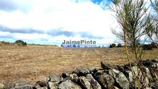 Terreno em Figueira de Castelo Rodrigo
