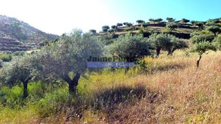 Land for sale in Figueira de Castelo Rodrigo, Portugal — €87,000