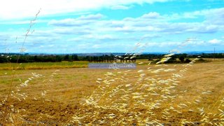 Land for sale in Figueira de Castelo Rodrigo, Portugal — €550,000