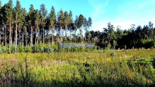 Terreno de 12 100 m² em Aveiro
