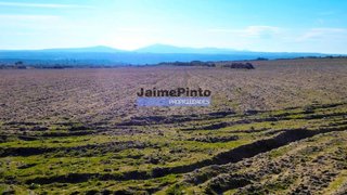 Terreno em Figueira de Castelo Rodrigo