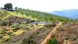 Land for sale in Alfândega da Fé, Portugal — €36,000