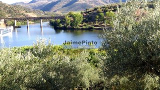 Land for sale in Freixo de Espada à Cinta, Portugal — €415,000
