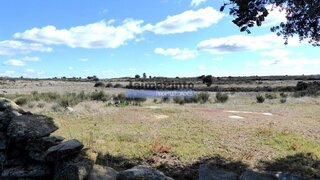 Land for sale in Figueira de Castelo Rodrigo, Portugal — €126,000