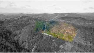 Land for sale in São Brás de Alportel, Portugal — €190,000
