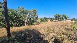 Land for sale in São Brás de Alportel, Portugal — €70,000