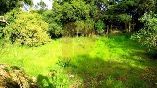 Land for sale in Palmela, Portugal — €650,000