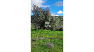 Terreno de 4770 m² em Lagoa