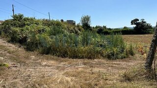 Land for sale in Santo Tirso, Portugal — €1,600,000