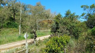 Land for sale in Grândola, Portugal — €650,000