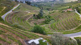 Land for sale in Lamego, Portugal — €400,000