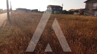 Land for sale in Ílhavo, Portugal — €583,800