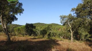 Land for sale in Odemira, Portugal — €620,000