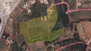 Land for sale in Silves, Portugal — €950,000