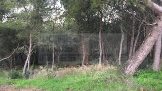 Land for sale in Cascais, Portugal — €2,200,000