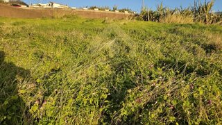 Land for sale in Calheta (Madeira), Portugal — €950,000