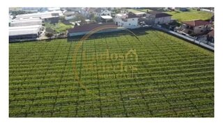 Land for sale in Barcelos, Portugal — €525,000