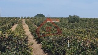 Land for sale in Palmela, Portugal — €390,000