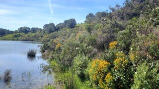 Land for sale in Castro Marim, Portugal — €450,000