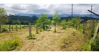 Land for sale in Valença, Portugal — €850,000