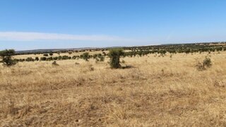 Land for sale in Ferreira do Alentejo, Portugal — €1,480,000
