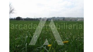 Land for sale in Anadia, Portugal — €950,000