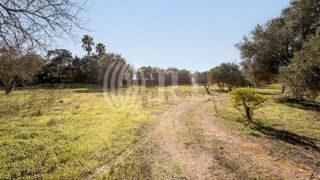 Land for sale in Silves, Portugal — €495,000