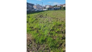 Land for sale in Maia, Portugal — €499,000