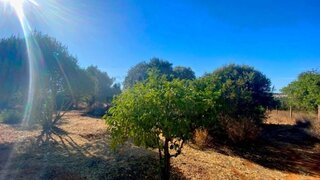 Land for sale in Loulé, Portugal — €600,000