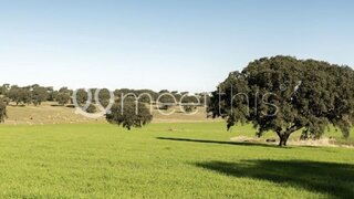 Terreno para venda em Alcácer do Sal, Portugal — 40 000 000 €
