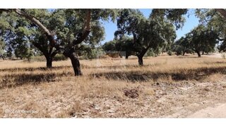 Land for sale in Grândola, Portugal — €1,200,000