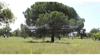 Land for sale in Grândola, Portugal — €1,490,000